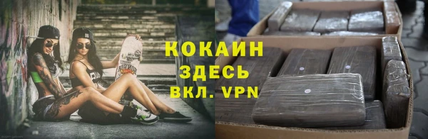 круглые Алзамай