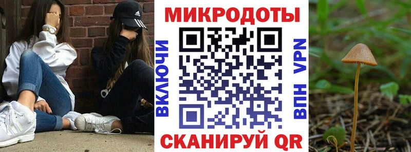 Галлюциногенные грибы ЛСД Осташков